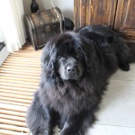 bootje 006