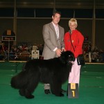 dogshow_maastricht_184